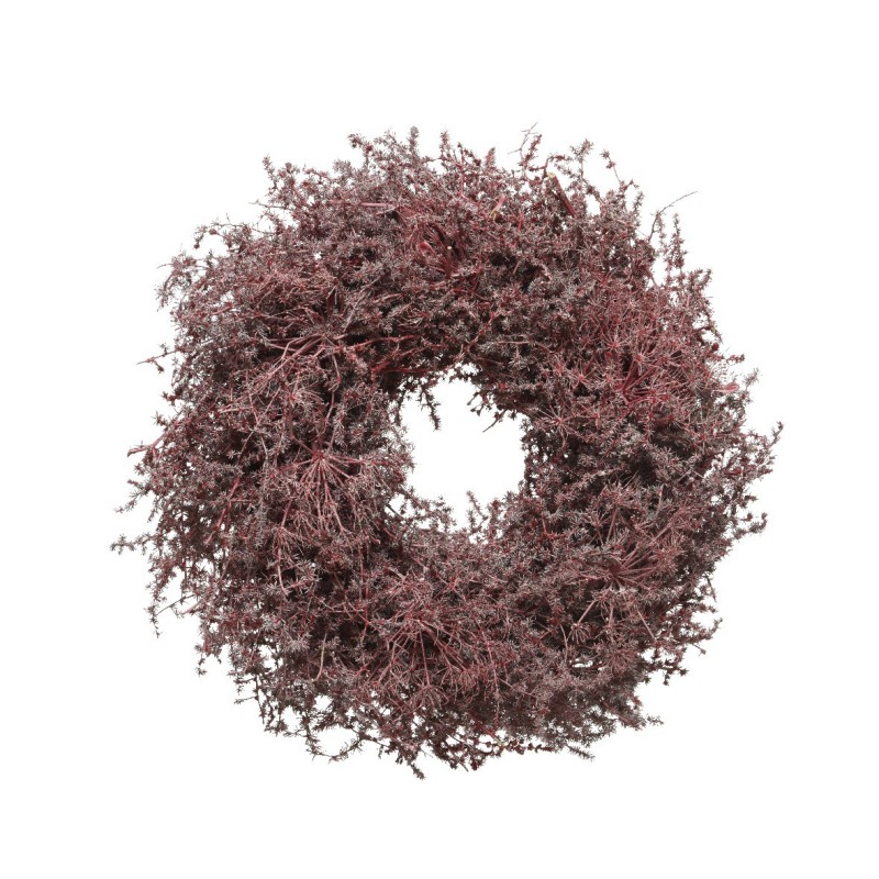 Red Asparagus Garland 60 cm AmagicTree.com