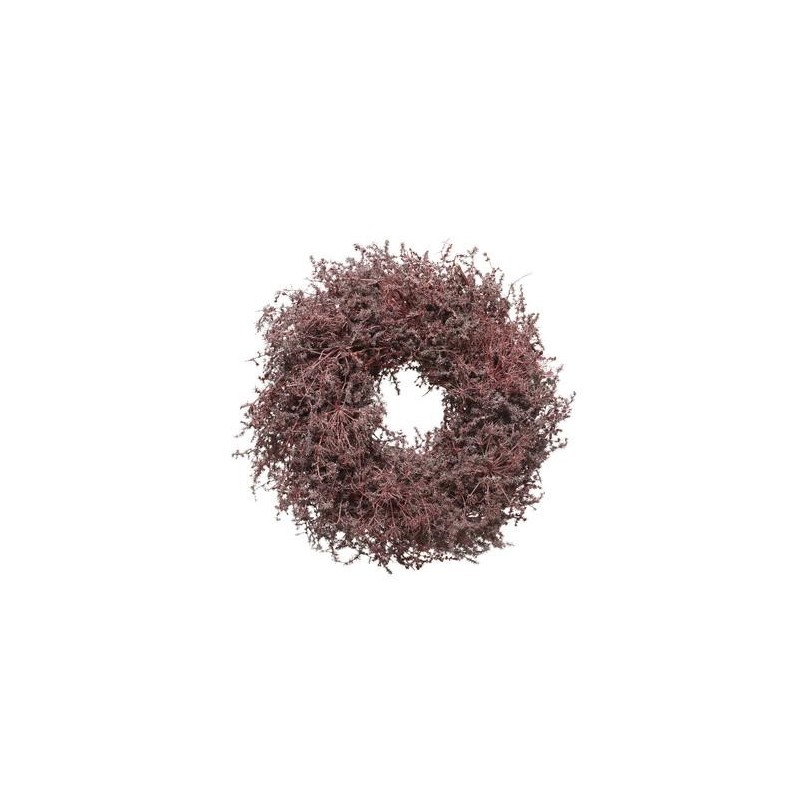 Red Asparagus Garland 35 cm AmagicTree.com