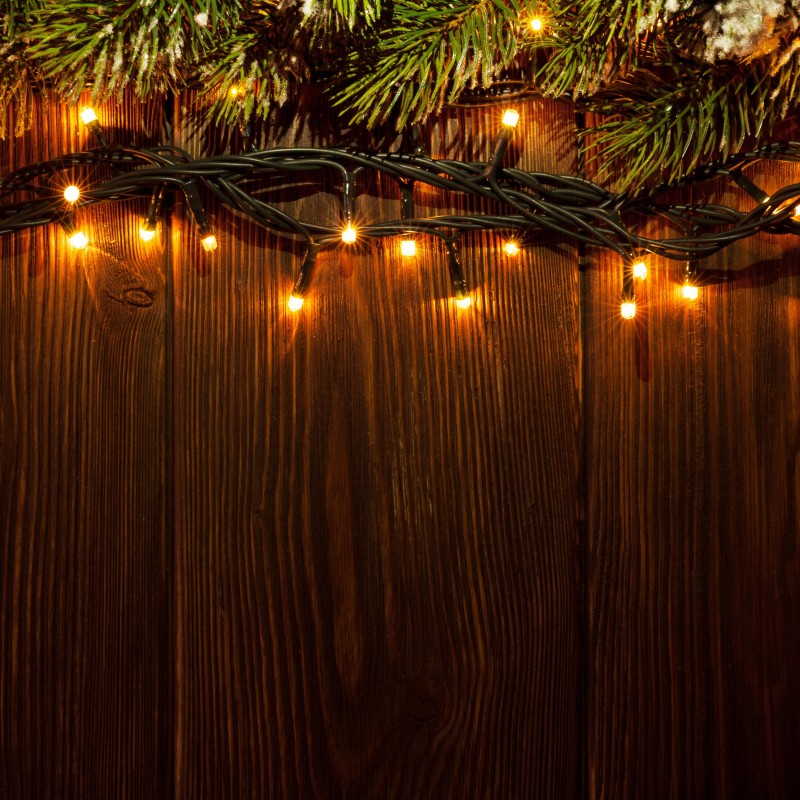 TLE 450 WARM WHITE LED chain AmagicTree.com