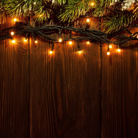 TLE 450 WARM WHITE LED chain AmagicTree.com
