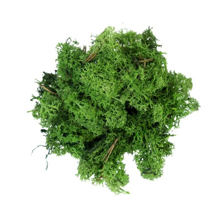 Moss Lichen Dark Green 50 gr MyVillage