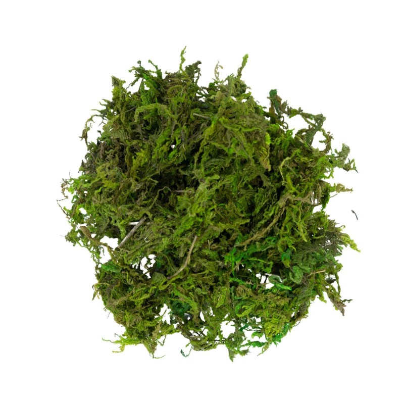 Muschio Verde 30g My Village