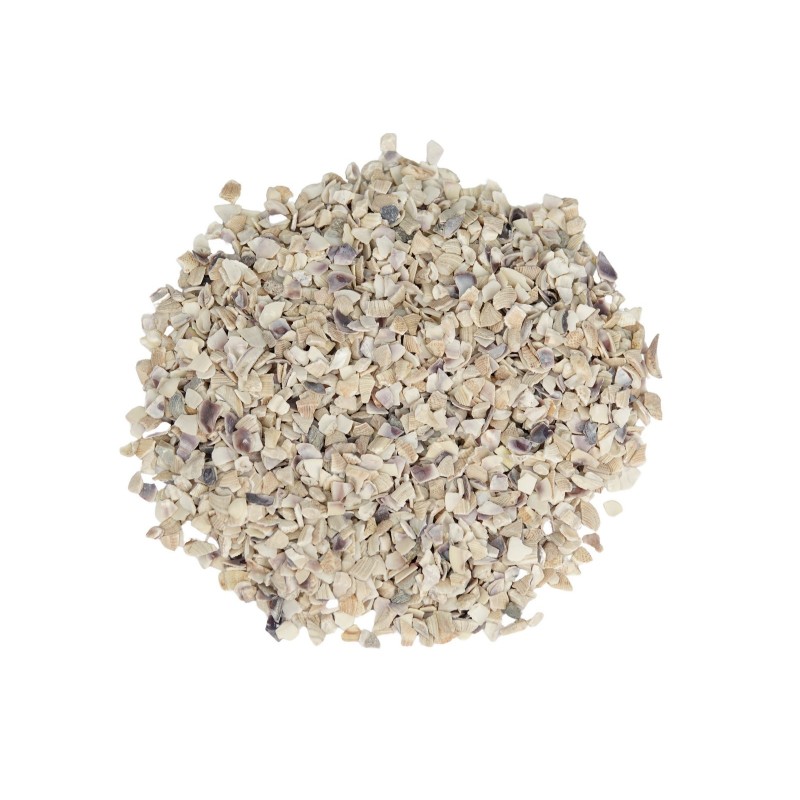 Pezzi Di Conchiglia Deco 370 ml My Village