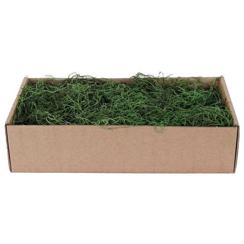 Green Spanish Moss 500 Gr MyVillage